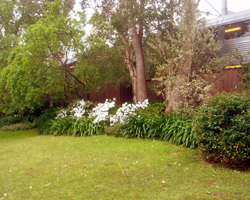 Horticultural Tradesman